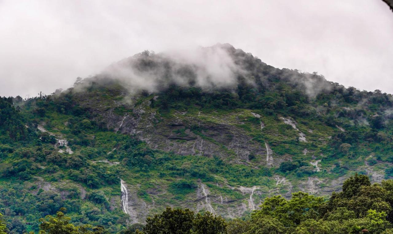 Treebo Trend Misty Garden Resorts With Mountain View Munnar Buitenkant foto