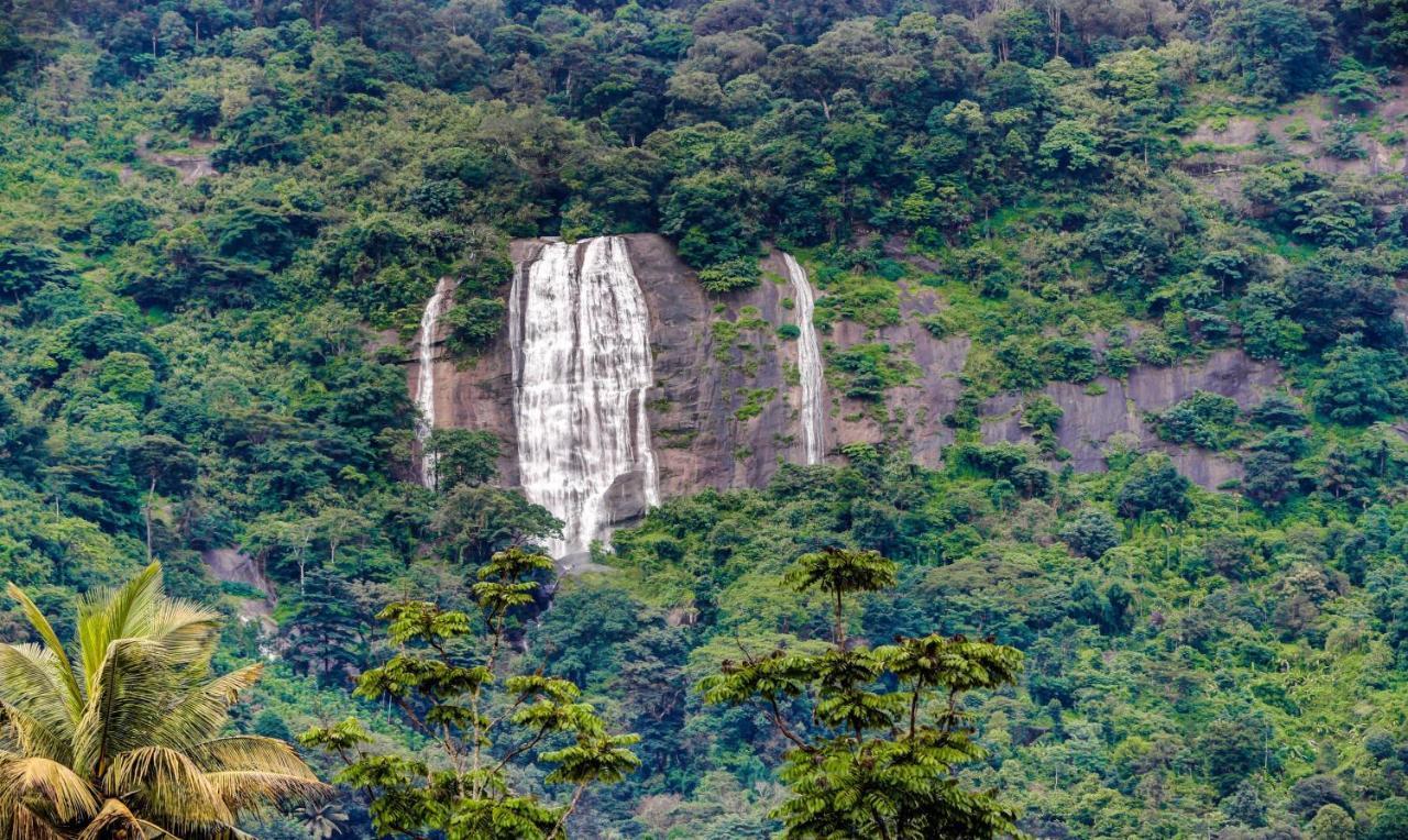 Treebo Trend Misty Garden Resorts With Mountain View Munnar Buitenkant foto